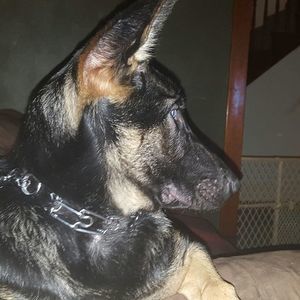 Meet your Posher, Suzanne